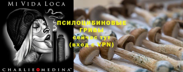 твердый Богородск