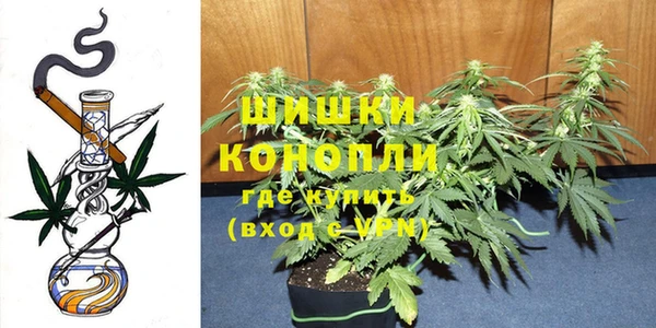 эйфоретик Беломорск