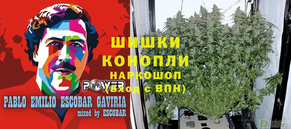 твердый Богородск