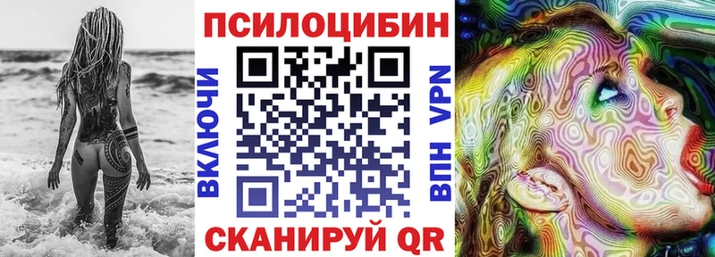 Галлюциногенные грибы Psilocybe  Бирск 
